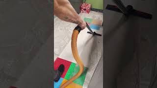 Satisfying VCT Floor Cleaning (Years of Buildup Removed!)💪