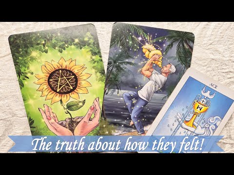 The truth about how they feel and what they desire