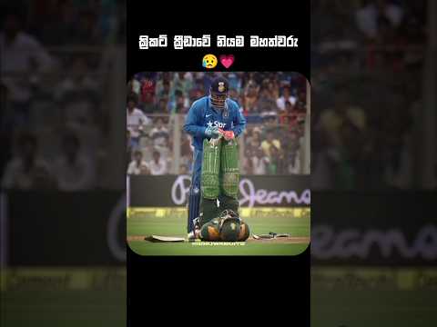 හදවතටම දැනුණා😔💗#shorts #cricket #cricketshorts