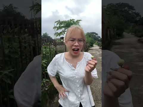 Quả nào cũng ngon #hienhoinacs