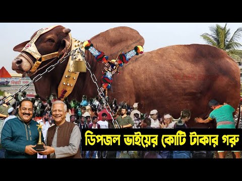 ডিপজল ভাইয়ের কোটি টাকার কোরবানির গরু! হাট কাঁপানো সেরা দানব গরু ২০২৫ Biggest Goat by Dipjoler Goru
