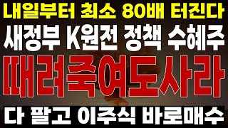 상한가_ 차세대 원전 SMR  말고 원전해체 519조  잭팟 두산에너빌리티 보다 '이기업' 더많이 오를 겁니다  [두산에너빌리티, 한전산업, 8월 주식전망, 우리기술, 한전기술]