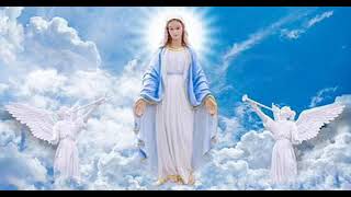 Wniebowzięcie Najświętszej Maryi Panny