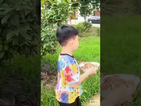 The sensible and filial little boy has touched countless people. Filial piety is the first virtu