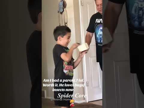 She screamed when she saw it ๐๐ท๏ธ#SpiderCore #SpiderPrank #FakeSpider #FunnyPrank #Tarantula