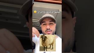 اجواء عيد الاضحى 🐏🤣 #العيد #اكسبلور