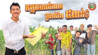 កម្មករកាច់ពោត ប្រាក់ខែប្រាំពាន់ដុល្លារ 😂 Salary 5K USA By នំប័រហ្គ័រកូនតោ