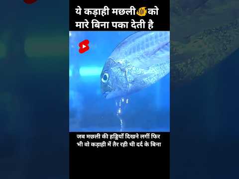 ये कड़ाही मछली🐠को मारे बिना पका देती है जब मछली की हड्डियाँ दिखने लगीं फिर भीवो कड़ाही में #shorts