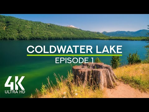 4K Summer Ambience at Coldwater Lake | Calm Waves & Birdsong for Deep Relaxation - Episode 1