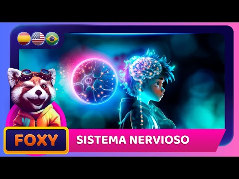🧠 El Sistema Nervioso: Tu Supercomputadora Interna! ⚡✨