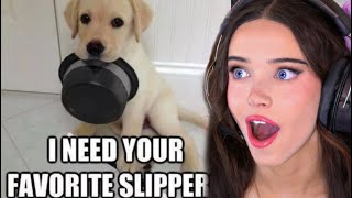 Memes That Were Imported Straight From Japan...