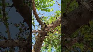 feel relax to subscribe