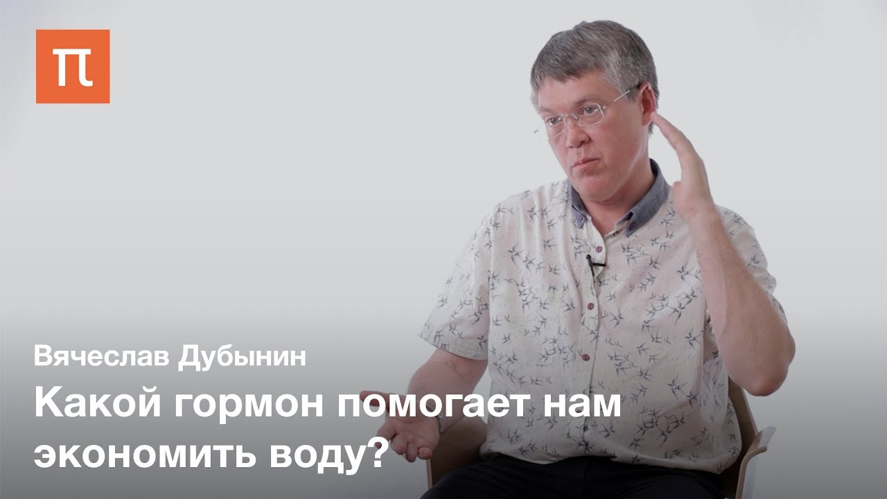 Мозг и жажда - Вячеслав Дубынин