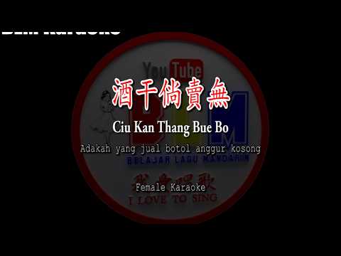 酒干倘賣無 – Ciu Kan Thang Bue Bo – Female – Karaoke – Terjemahan – Pinyin – Lyrics – Lirik