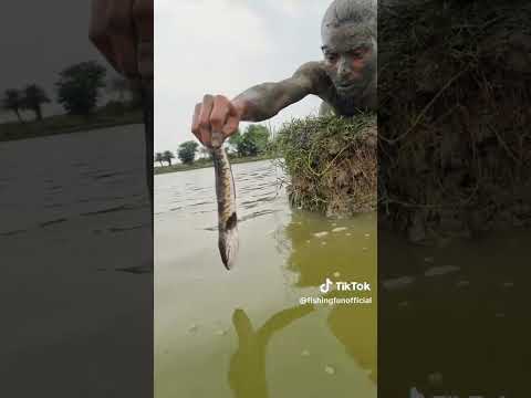 catching a monster fish with his bare hands!!!!