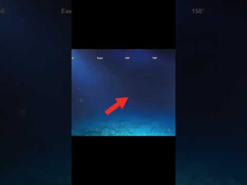 Scariest Things Found In The Ocean😨 #scary #trending