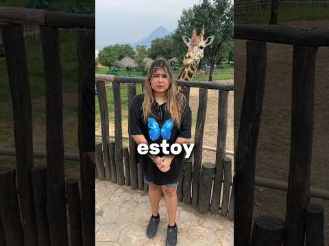 LA JIRAFA ME IGNORA
