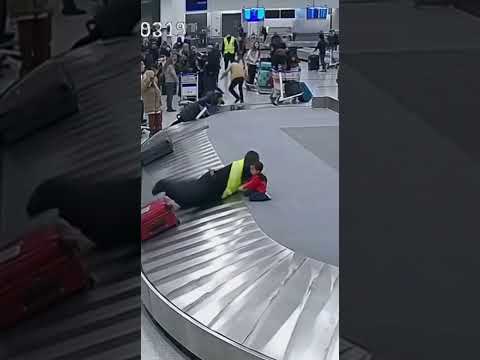 My Baby👀 Almost Got Crushed by the Suitcases! 💥#shorts #sora