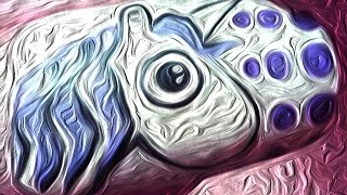 A Trip to RoloYofo