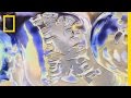 Giant Clams: Nature's Gentle Giants