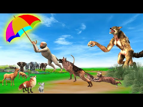 बंदर जादुई छाता कुत्ता और बिल्ली Bandar Jadui Chhata Kutta aur Billi Monkey Magical Umbrella Dog Cat