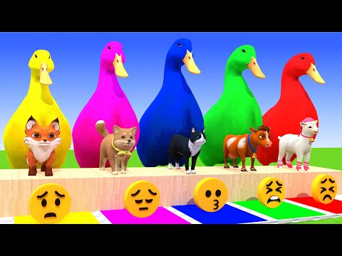 5 Giant Duck Cartoon,Cow,Elephant,Tiger,Lion,Dinosaur,Paint Wild Animals Crossing Fountain Animation