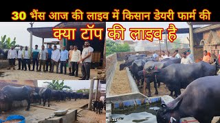 आज की लाइव में 30 भैंस किसान डेयरी फार्म की 9729847257