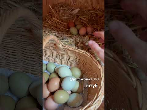 #хозяйство #жизньзагородом #буднифермера #ферма #урожай