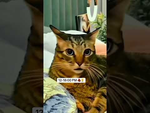 Eastern European summer days ๐