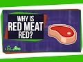 Understanding Meat and Myoglobin