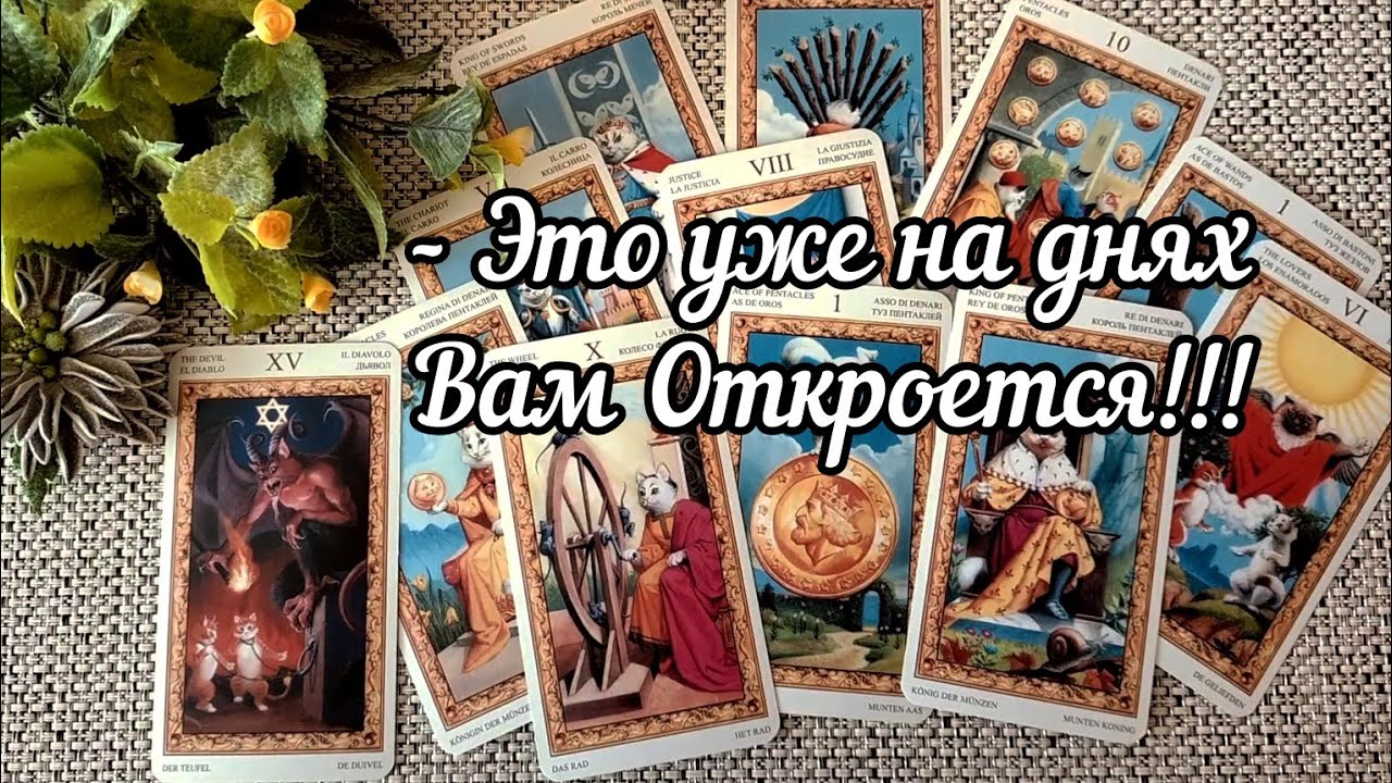 #58 Что вы не замечали это уже на днях вам откроется гадание таро 24.08
