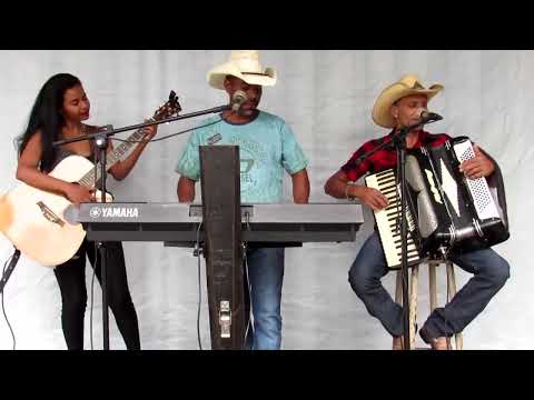 Rony e Marcelo Os fora da Lei Musica   Vou virar pinguim