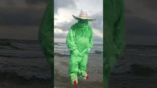 #mrgrinch #fyp #humor #fypage #grinchmas
