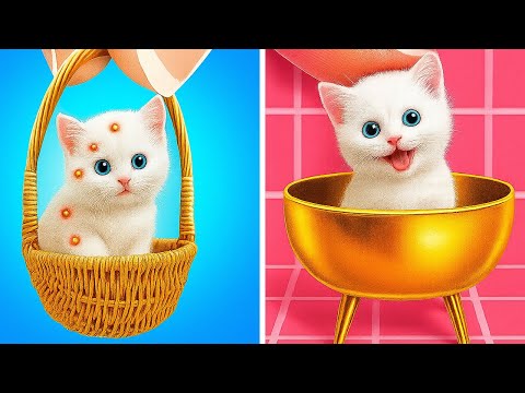 Save Poor Kitten 😿 Smart Hacks for Pet Owners