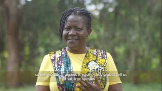 The Mystery of The Kinyabutumbi Tree:Uganda’s Hidden Supernatural  Wonder.