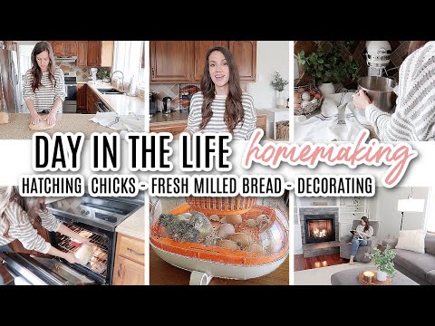 DAY IN THE LIFE OF A HOMESTEADING MOM OF 3 // HATCHING CHICKS //  FRESH MILLED BREAD // SPRING DECOR