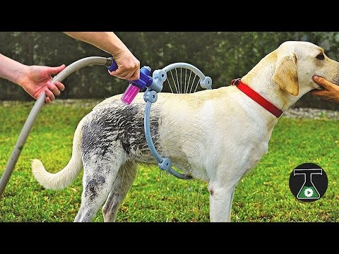 ✅ 🔟 INSANE Pet Toys & Gadgets जो बिलकुल  ज़बरदस्त हैं