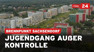 Gewalt, Angst, Abschiebungen? Cottbus kämpft gegen Jugendgewalt