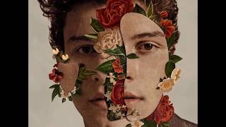 Shawn Mendes - Because I Had You