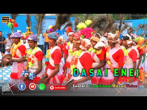 New Santali Dasai Enej 2024 || Hihiri Re Pipiri Re || Santali Traditional Dance