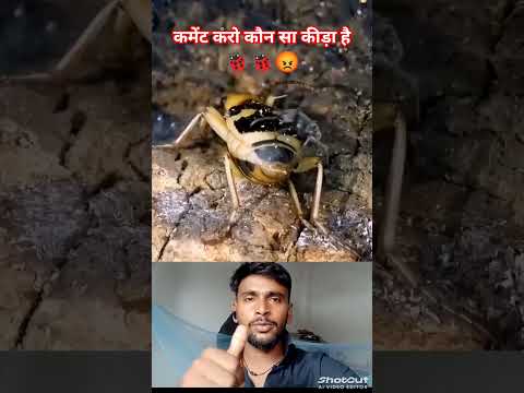 यह कौन सा कीड़ा है #trendingreels #youtubeshorts #reactionvideo