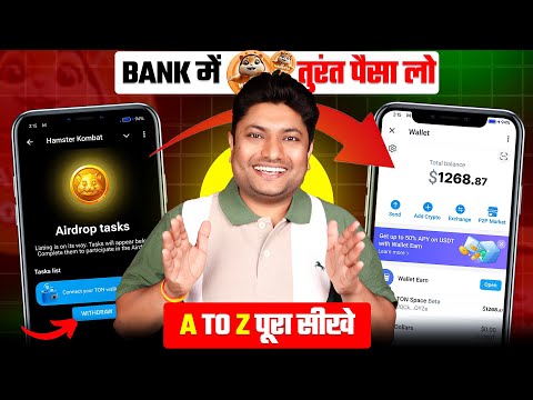 Hamster Kombat पूरा सीखें