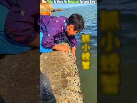 The Caught Danger Animal 😨| New Viral Gadgets, Smart Appliances, Kitchen Utensils/ Home Inventions
