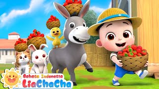 Jalan-jalan di Peternakan | Lagu Hewan di Peternakan🐮 | Lagu Anak-anak | LiaChaCha Bahasa Indonesia