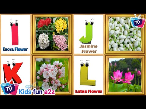 Flowers ABC Song | Flowers Alphabet Song | A to Z Flowers Names | Phonics for Kids | Learn ABC
