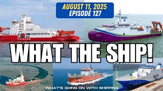 What the Ship (Ep 127): Pacific Rates | Arctic | India Tariff | Malaysia Crackdown | Iran Sanctions