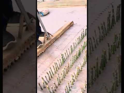 #agricultural #agriculture #farming #agro #farmlife #agricoltura  #technology #farm #food #diy