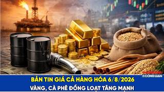  Bản tin giá cả hàng hóa ngày 6/8/2026: Vàng, cà phê đồng loạt tăng mạnh