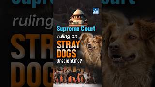 SC's Controversial Order: Stray Dogs to be Removed from Delhi | NEXT IAS