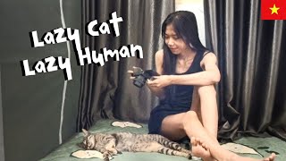 1 Person, 2 Cats, and a Simple Life - Life Through a Cat's Eyes